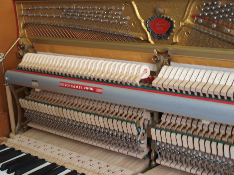 Schimmel, Renner Mechanik